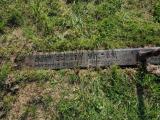image of grave number 661532